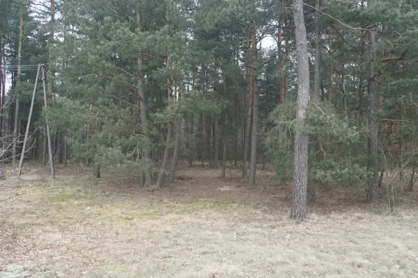 mazowieckie, otwocki, Wiązowna, Kąck, Działka na sprzedaż